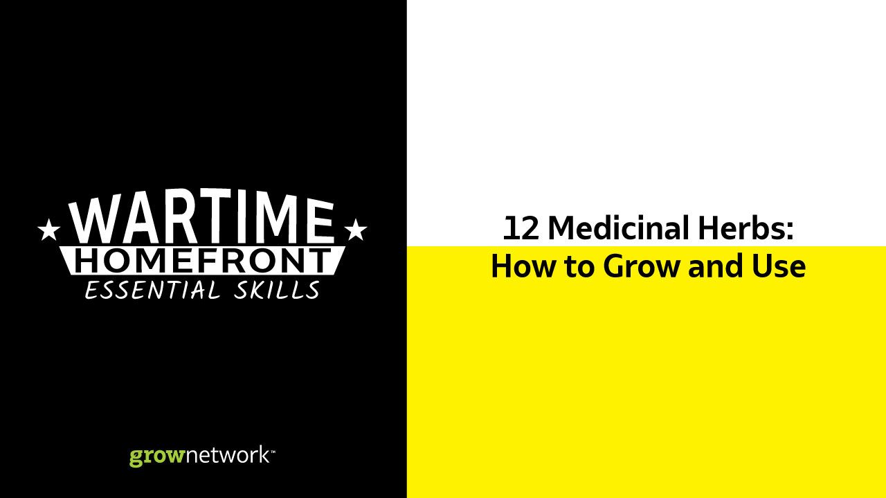 Wartime Homefront Essential Skills