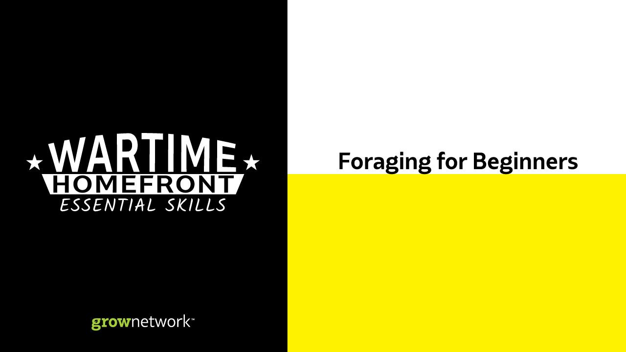 Wartime Homefront Essential Skills