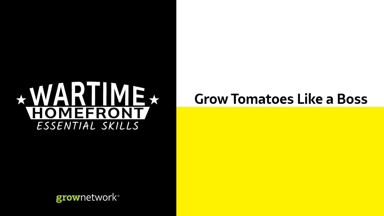 Wartime Homefront Essential Skills