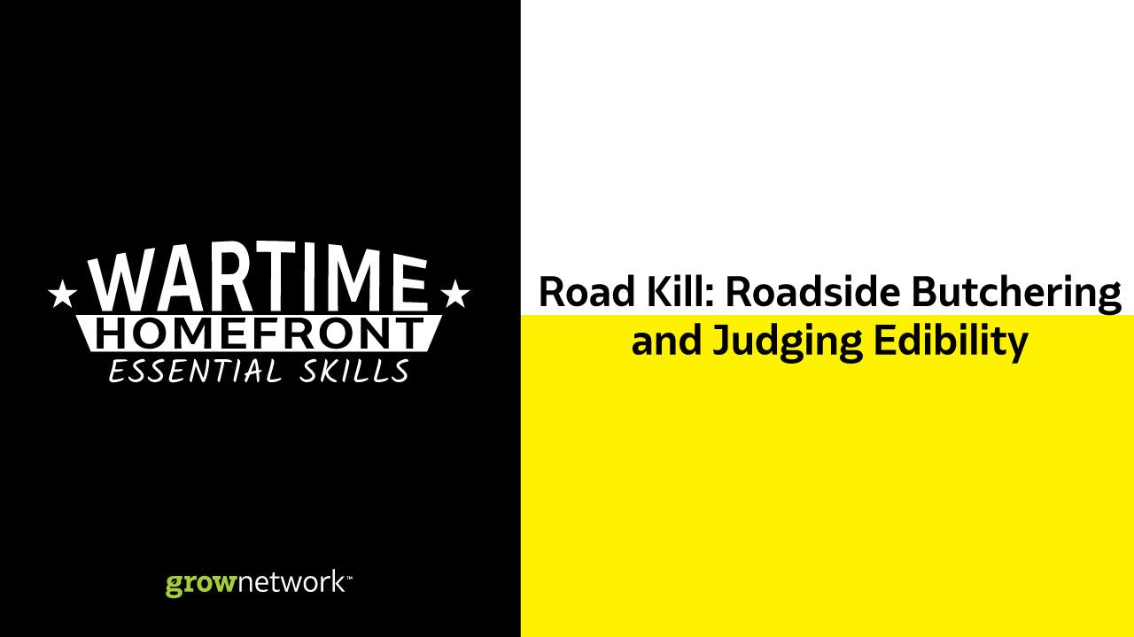 Wartime Homefront Essential Skills