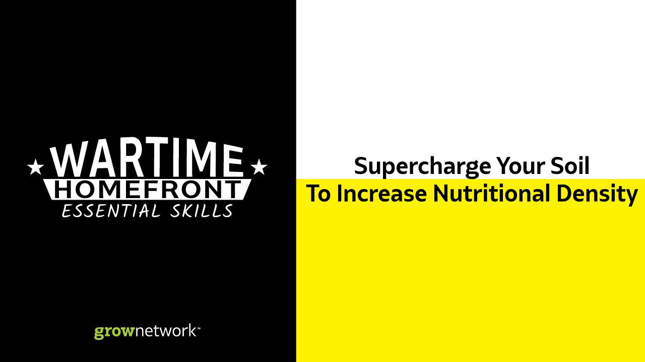 Wartime Homefront Essential Skills