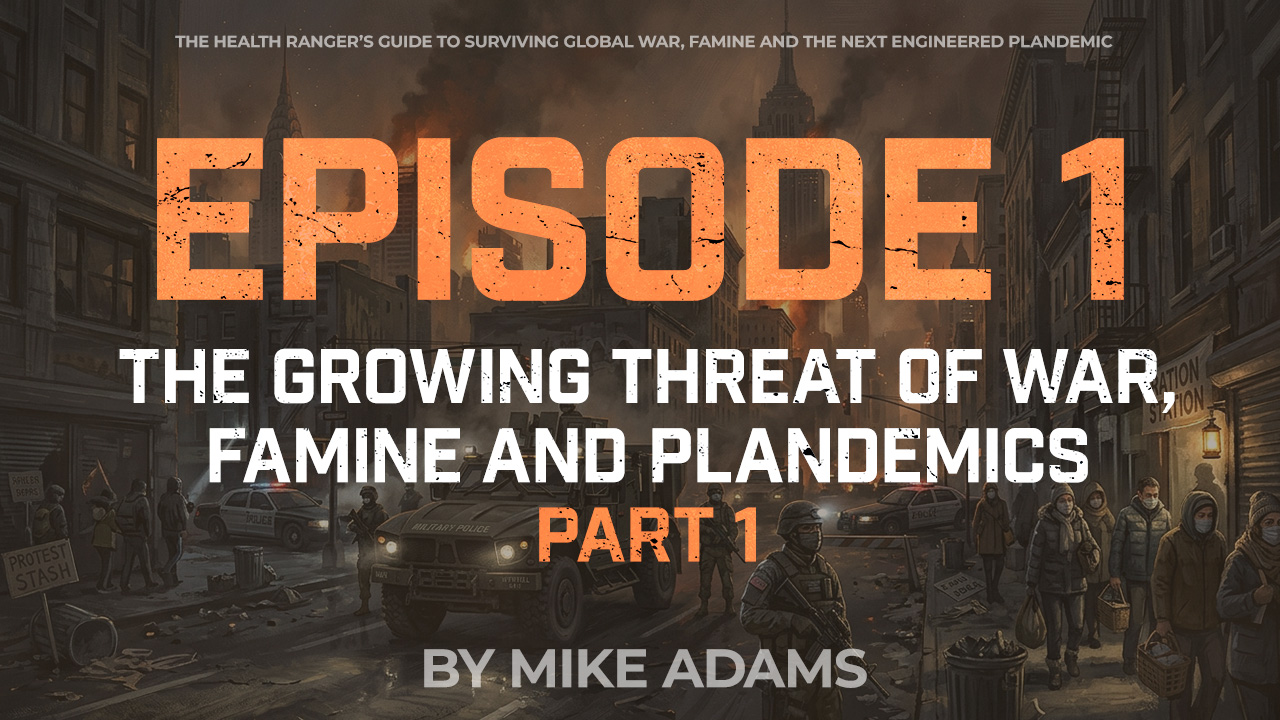 Episode 01