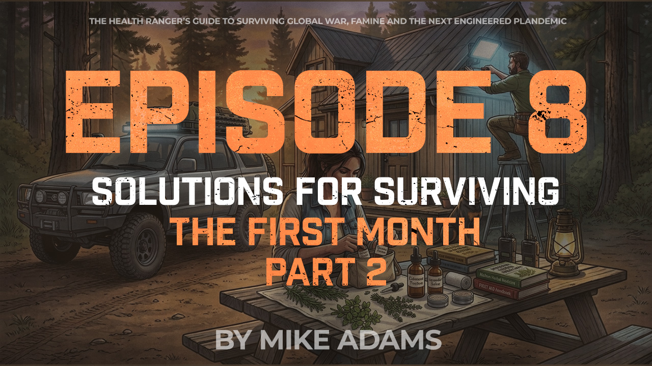 Episode 08