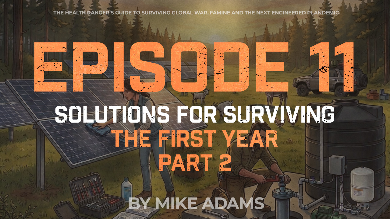 Episode 11