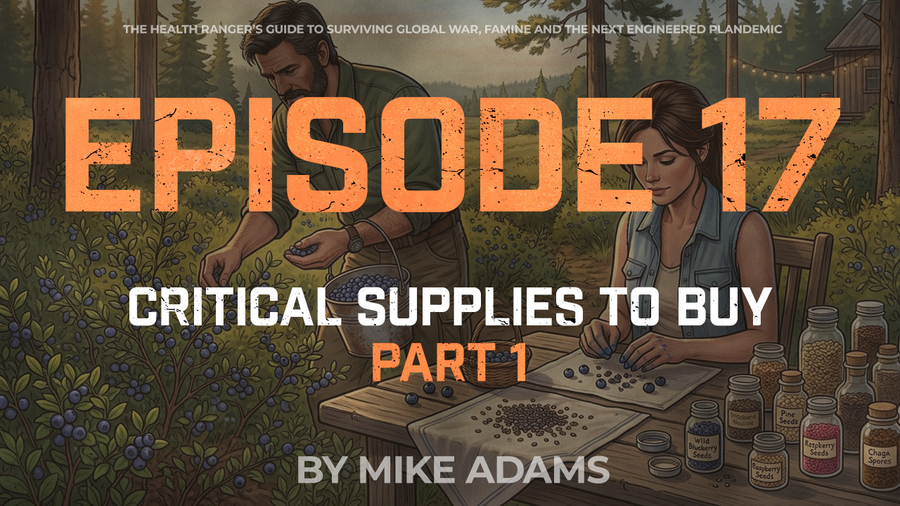 Episode 17